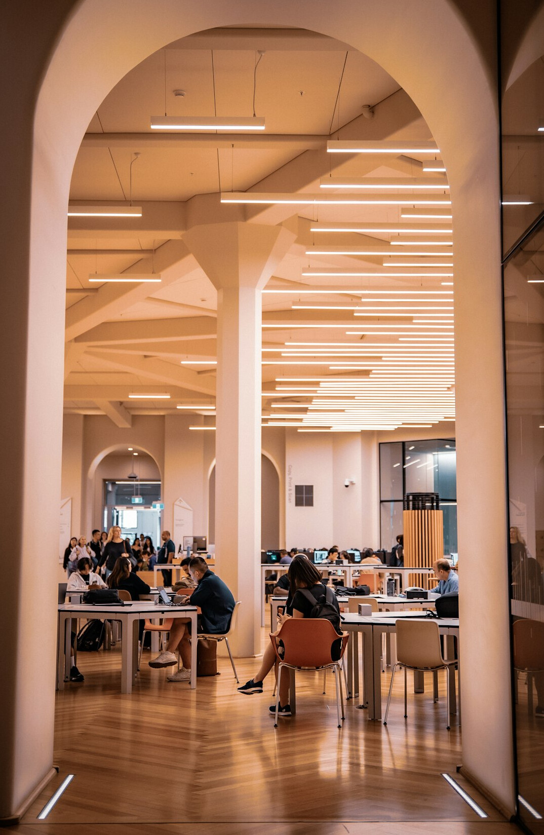 person studying at desk